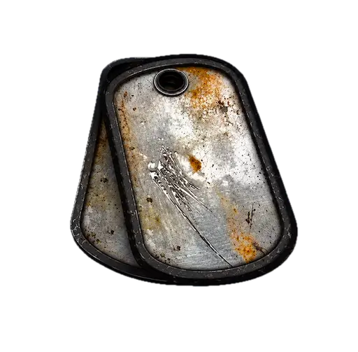 Steel Dog Tag